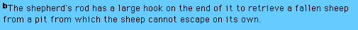 Shaded Paragraph Text, part b